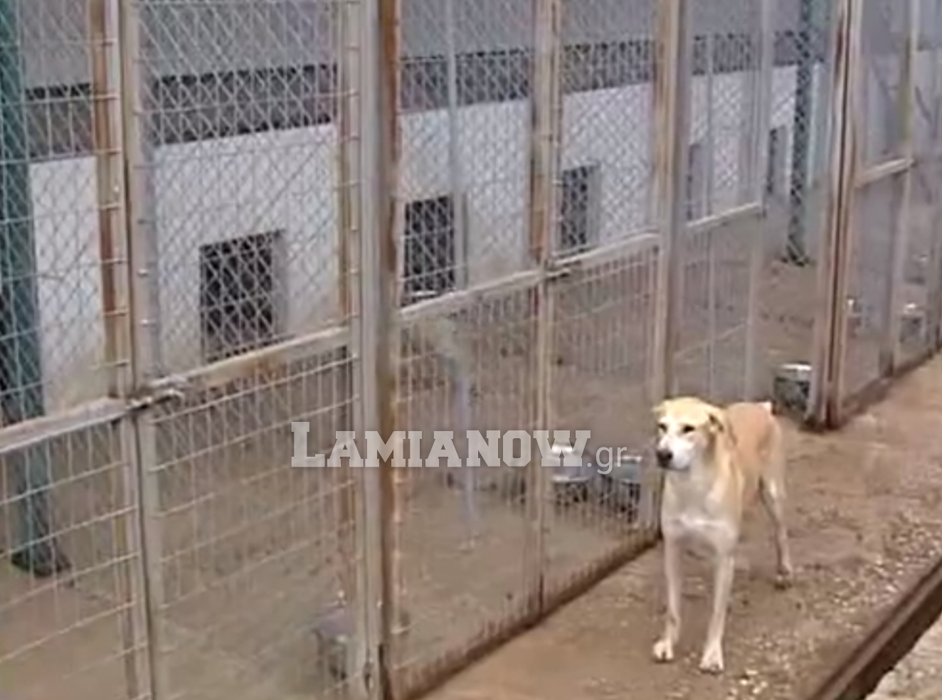 κινοκομειο3