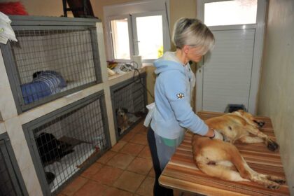 773595 1097474170273817 8382059608544670084 o