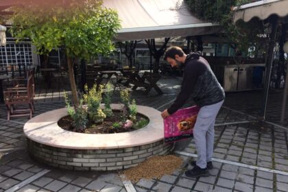 90735710 3058528020835079 2707949662920245248 n