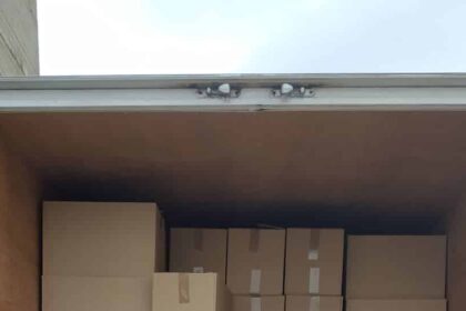 Lathrea tsigara fortigo