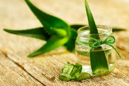 antisiptiko aloe 575x383 1