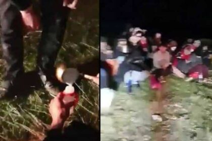 evros metanastes gala