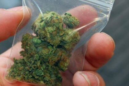 mikroposotita kannavis