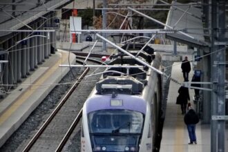 trainose