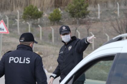 turkey virus