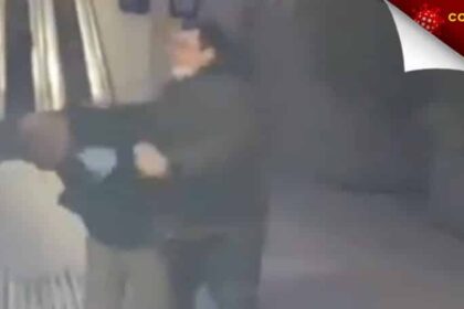 92125388 223855782033132 5468739535389065216 n