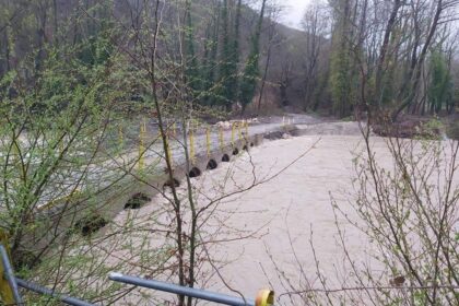 92236863 208519150579259 6127519151306047488 n