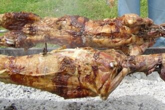 arni katsiki souvla