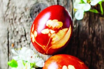 avga me sxedia fullwn