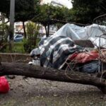 dentra kakokairia Patra 06 04 2020 scaled