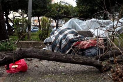 dentra kakokairia Patra 06 04 2020 scaled