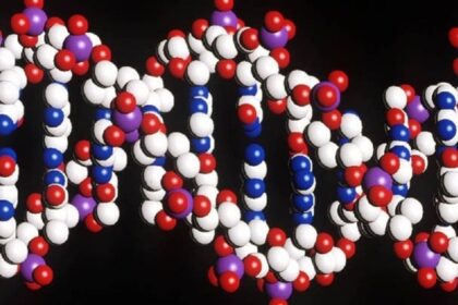dna