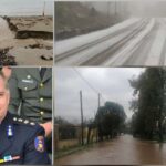 inCollage 20200405 004710165 scaled