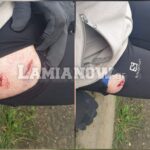 inCollage 20200405 131237999 scaled