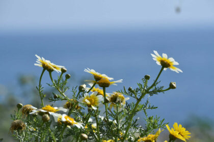 kairos anoiksi 1536x1055 1