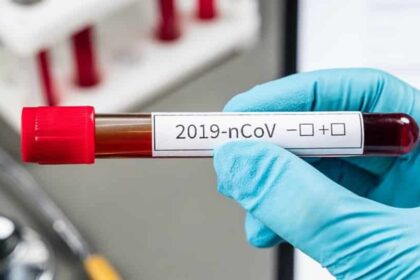 koro 252863 201775 type13262