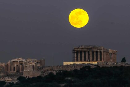 panselhnos intime 1001 8 scaled