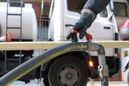 petrelaio thermansis