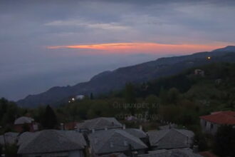 pilio