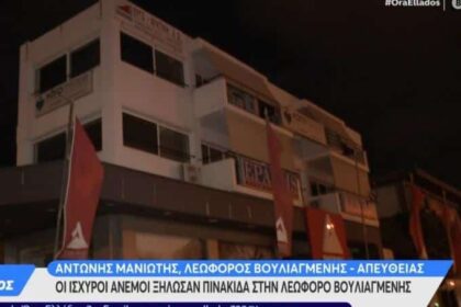 profile original 1 0