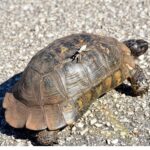 xelona 1 scaled 1 scaled