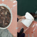 ΛΙΜΕΝΙΚΟΙ 10