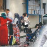 σπανος φανης