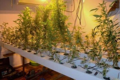 6E33C6E7 2633 47B0 A4EF C79C764443AE e1572520188295