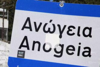 anogeia pinakida