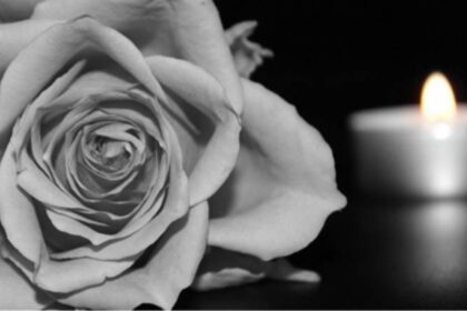 doc 20171107 1875144 eggrafo bardias