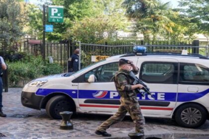 gallia anoikse pir 12