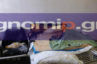 gnomi