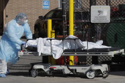 koronoios new york 4 1536x1024 1