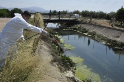 psekasmoi kounoupia e1535814153866 1