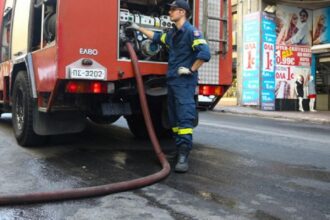 purosvestiki