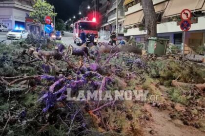 received 651434058920377