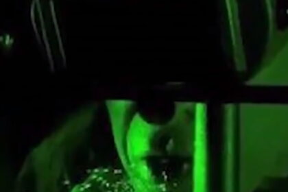 stagonidia koronoios