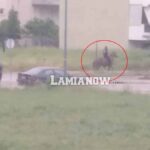 αλογο λαμια ποδηλατοδρομος