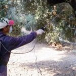 δακοκτονια