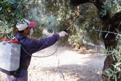 δακοκτονια