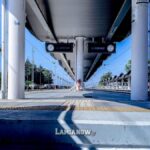 λιανοκλαδι