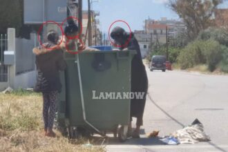 ρομα
