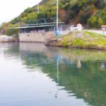 ψωρονερια λαμια