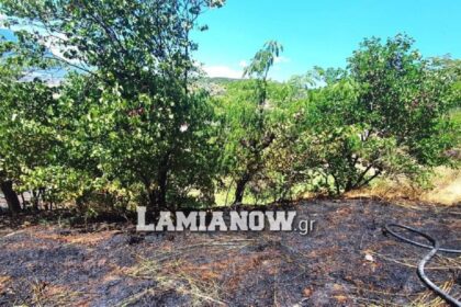 104125829 4637153869644096 8233291133034202174 n