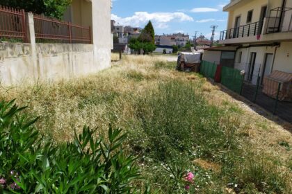 104287902 263844468020610 40456947325840477 n