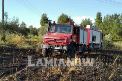 IMG 683e36d870fa0f7205447bc5a7ea4a82 V 1