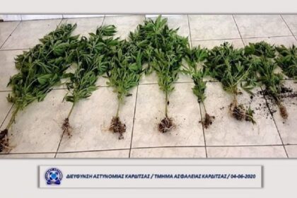 Karditsa xasisodentra