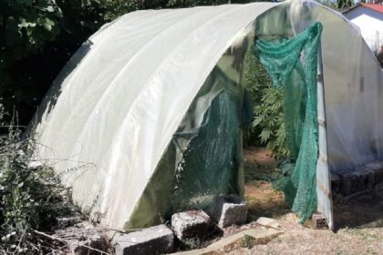 Trikala thermokipio xasisodentra