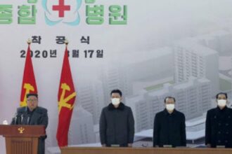 covid nkorea