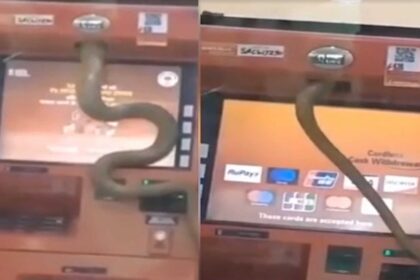 fidi atm india 2048x1213 1